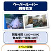 かすみがうら市水族館の週末イベント情報📢✨遊んで学べる屋内体験スポット