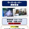 かすみがうら市水族館の週末イベント情報📢✨遊んで学べる屋内体験スポット