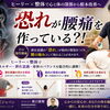 慢性腰痛と「恐れの感情」のつながり｜ヒーリーで潜在意識からケア
