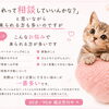 あなたのお悩みはなんですか??／占いという人生相談のかたち／湖南市／花稀香鈴／はなきこうりん