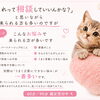 あなたのお悩みはなんですか??／占いという人生相談のかたち／湖南市／花稀香鈴／はなきこうりん
