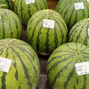 新居浜産スイカ＆夏野菜がたっぷり入荷中です！