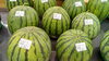 旬の味覚！甘くてみずみずしい「新居浜産スイカ＆夏野菜がたっぷり入荷中です！」