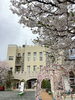 令和8年度の入園式「江戸川区からも通える葛飾若草幼稚園：入園理由のご紹介」