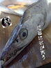 「太刀魚入荷致しました！」
