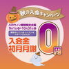 秋の入会キャンペーン「【英語・英会話】🎃ハロウィーン🎃キャンペーン始まるよ！⭐️【出雲市で英語教室をお探しならドリーム塾へ】⭐️」