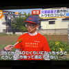 ☆カラフル野菜の小山農園『めざましテレビ』無事にオンエア📺☆