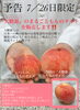 「7/26（日）限定　『大糖領のまるごともものタルト』販売いたし」