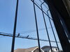 鳥たちの憩いのひととき「窓の格子越しにとまる、二羽の鳥と夏の屋根並み」