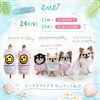 「本日インスタライブ＆新商品販売します🐶✨」