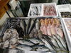 令和8年7月24日 店内「📣本日のお魚情報🐟」