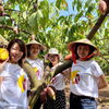 【ベトナムチョコレートの秘密】私たちが「Farm to Bar」にこだわる理由