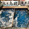 店内生け簀に名物・泳ぎイカが入荷しました