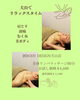 極上の全身リンパマッサージで癒やされる「初めての方へ 創 BODY DESIGN 犬山店のご紹介」
