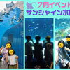 魚がいっぱい🐟サンシャイン水族館