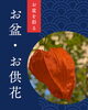 お盆・お供え花「【花小金井】お盆のご準備はお済みですか？」