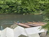 鬼怒川ライン下り🚣‍♂️😆「鬼怒川でライン下りを体験しました😆」