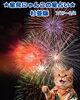 猫ちゃんの星座占いは夜空で！「🌟 杉並区版☆12星座占い 🌟 まいぷれ☆星見にゃんこ 🌟 7/27〜8/2」