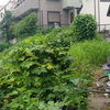 【施工事例】草刈り・除草作業を行いました！