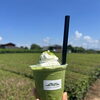 抹茶がさらに贅沢に！自社茶畑ビューの「抹茶フラペティー」