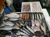 令和8年7月27日 店内「📣本日のお魚情報🐟」