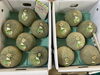 青森県産 つがりメロン！甘くてジューシーな旬の美味しさをお届け🍈「【枚方市駅徒歩１分】旬の果物が大集合！甘くてジューシーなメロン・桃・ぶどう・カットフルーツが入荷中🍑🍈🍇新鮮果実 日野屋（ビオルネ枚方地下1階）」