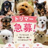 【北上市】ワンちゃんが大好きな方へ♪ ドッグショップWAN'Sでトリマーさんを募集しています！