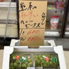熊本産「種なし高級ぶどう・ハニービーナス」入荷！1パック税込648円