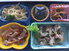 「7/28   お弁当の献立」