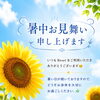 暑い夏を元気に乗り切るために、ぜひ体のメンテナンスを🤗