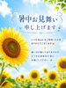 お部屋を涼しくしてお待ちしております🎐「暑い夏を元気に乗り切るために、ぜひ体のメンテナンスを🤗」