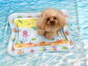 にこくん「波とわんこ🌊」