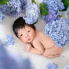 宮崎市でニューボーンフォトを撮るなら「はじめフォトスタジオ」ー生後28日以内、新生児期の特別な写真ー