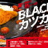 新サ飯シリーズ「サ飯-1.0」第2弾　「BLACKカツカレー」新登場