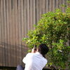 木と一緒に暮らす庭づくり＊窓からの景色も家族の一員です