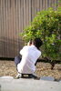 「木と一緒に暮らす庭づくり＊窓からの景色も家族の一員です」