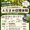 今年もこの季節がやってきた！山中農産の枝豆収穫体験！