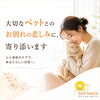 ペットロスによる体調不良は、一人で抱え込まずご相談ください