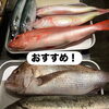 【当店初入荷となる「Kireuma」と鮮魚】