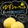 ＼ 夏におすすめ！ ／ 🍊《ゆずシャーベット》🍊