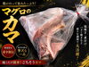 数限定！豊潤なマグロカマにご賞味あれ「数量限定！脂がのった希少部位「マグロのカマ」入荷しました」