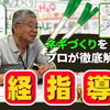 ネギ農家さん必見! 本澤先生の誰でも判る栽培指導(案)　たねのハシモトミヤ