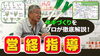 「ネギ農家さん必見! 本澤先生の誰でも判る栽培指導(案)　たねのハシモトミヤ」
