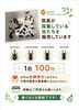 「カブトムシ・クワガタを販売中！」