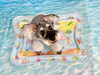 いっぽくん「波とわんこ🌊」