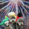 トイプードルのホイップくん＆スキップくん＆あすかくん♪ 花火背景×かぶりものコーデで夏祭りフォト！