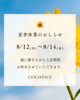 「【夏季休業のお知らせ】サンキューカット・マイパレット🌻」