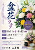 「盆花フェア開催です‼️」