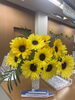 「ターミナルの飾り付け　～夏仕様～🌻」