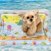 波とわんこ🌊